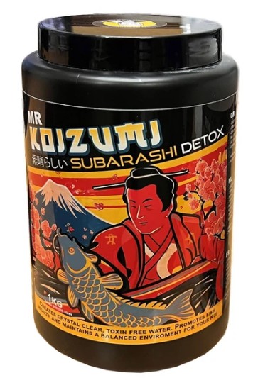 Mr Koizumi Subarashi